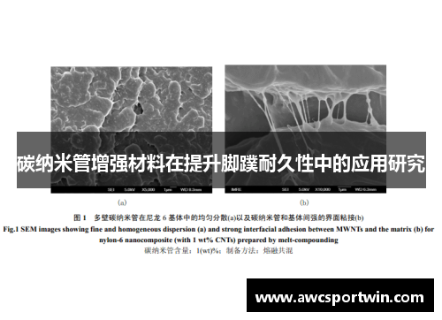 碳纳米管增强材料在提升脚蹼耐久性中的应用研究